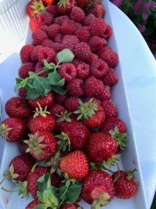 23645A65-1E48-49C6-B337-FCED0E08712B