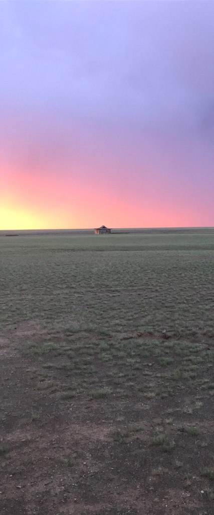 236E7026-4667-4C25-AD56-B6CC3C6E49A8