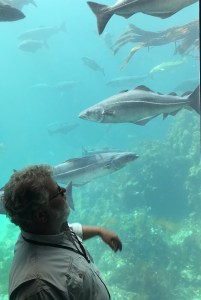 7F1BBFDA-C993-4768-B743-5DF29910E013