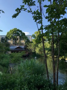 949BCEF8-6993-439E-9339-F7F81B340B5E