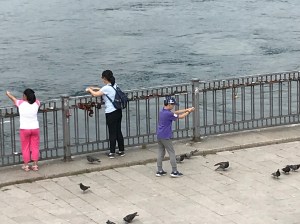 B74A3DCA-0BBD-4ECF-B76F-D60B56FBDE43