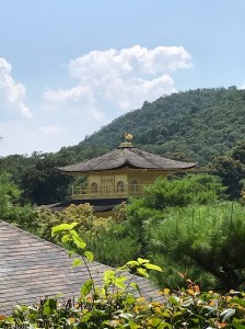 D1764916-F19C-4146-971D-D79B7946CF72