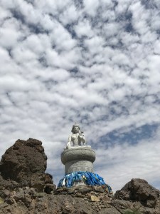 D7E8174B-0681-455D-A1C3-1FFA30B0C610