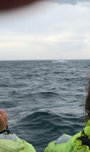 F3F4B6C6-AB8D-4522-B627-E0B58B351008