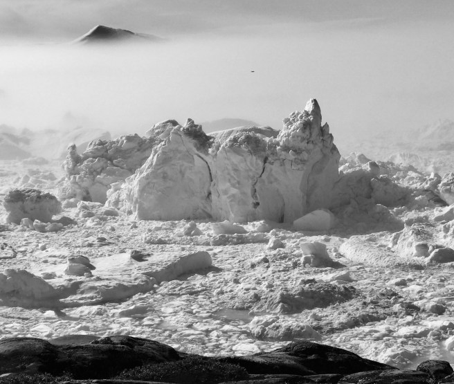 EF36D341-18FF-42F4-9B0E-025F38D9ECD2